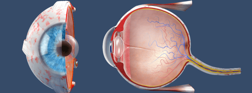¿Cómo se detecta el cáncer ocular? Síntomas y diagnóstico