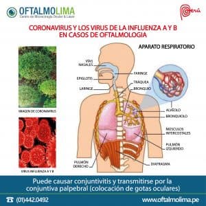 El sistema respiratorio y los virus