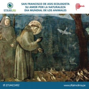 San Francisco de Asís, Ecologista, su amor por la naturaleza y los animales