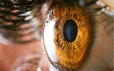 Cómo la Exposición al Sol Puede Afectar tu Vista